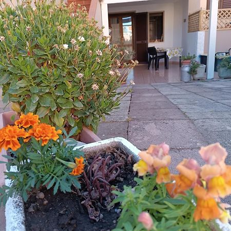 Da Francesca Villa Palmadula ภายนอก รูปภาพ